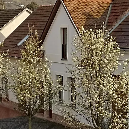 Dunna Vendeghaz